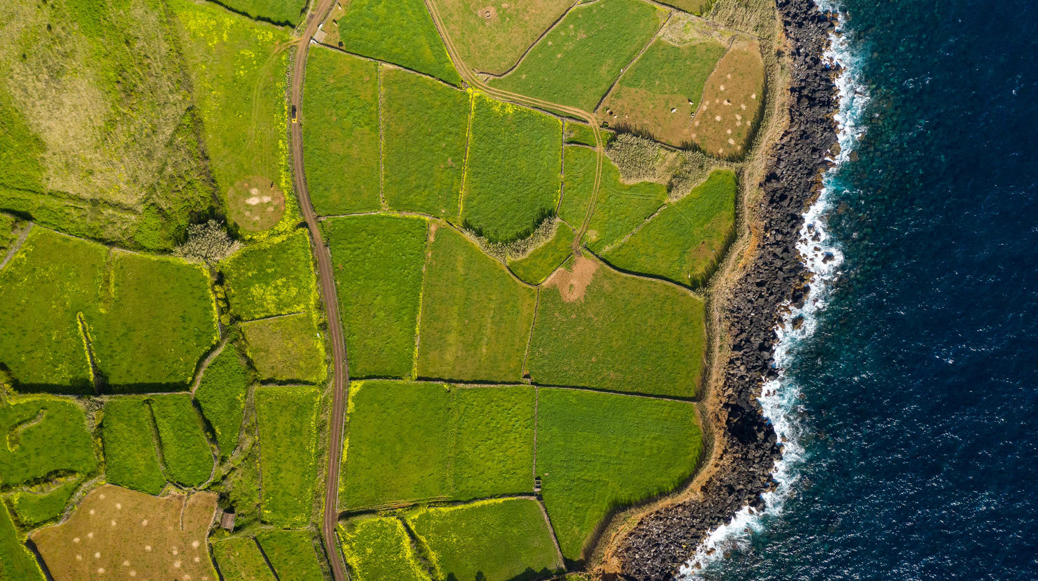 Ponta da Queimada, Pico Island