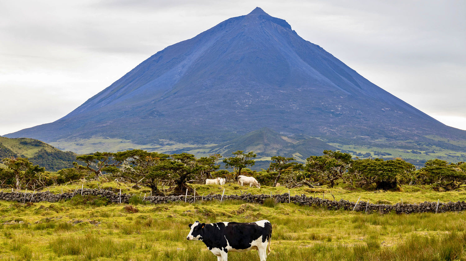 Pico Mountain, Pico Island