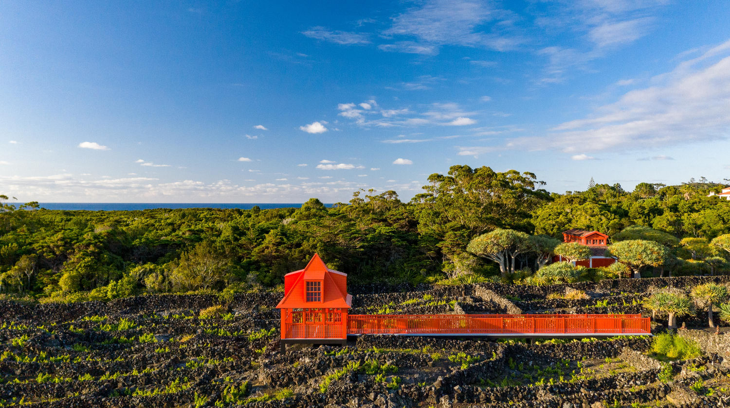 Wine Museum, Pico Island