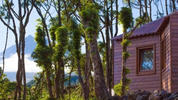 The Azores | Rustic Nature Retreat The Azores | Rustic Nature Retreat