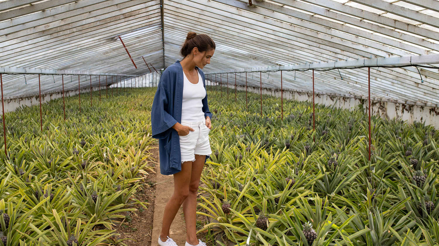 Pineapple Plantations, Ponta Delgada, São Miguel Island