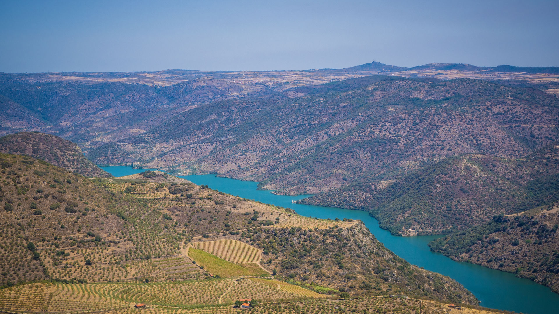 Douro Valley (60 miles from Porto)