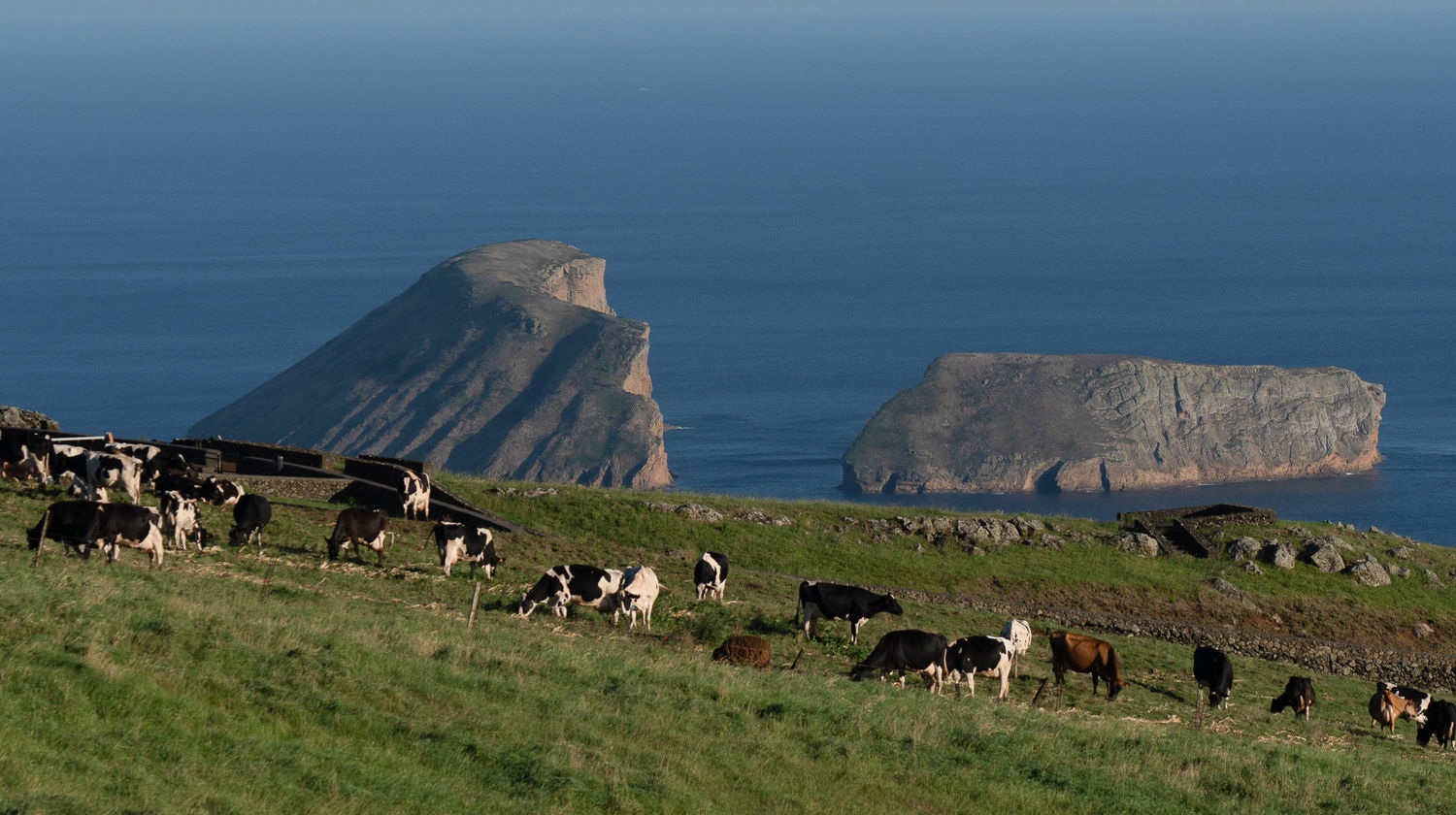 Terceira Island