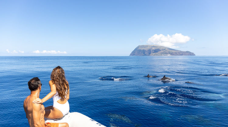 Viagem de Barco até à Ilha do Corvo