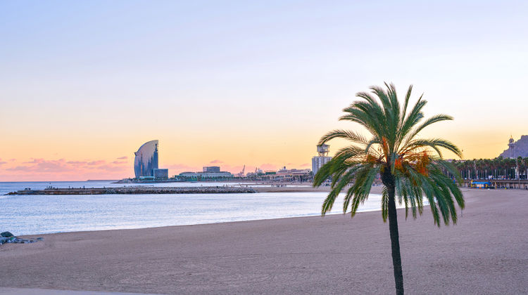 Barceloneta
