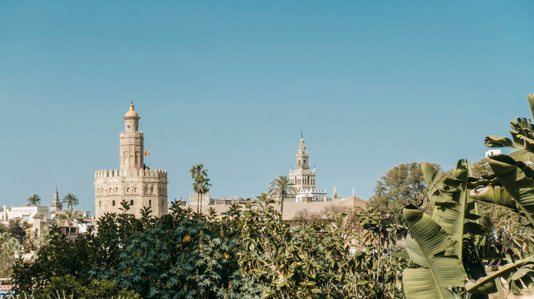 Torre del Oro, Sevilha