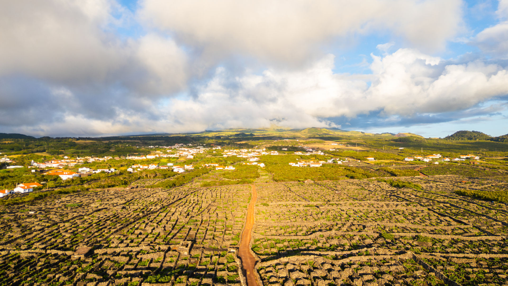  Paisagem da Cultura da Vinha