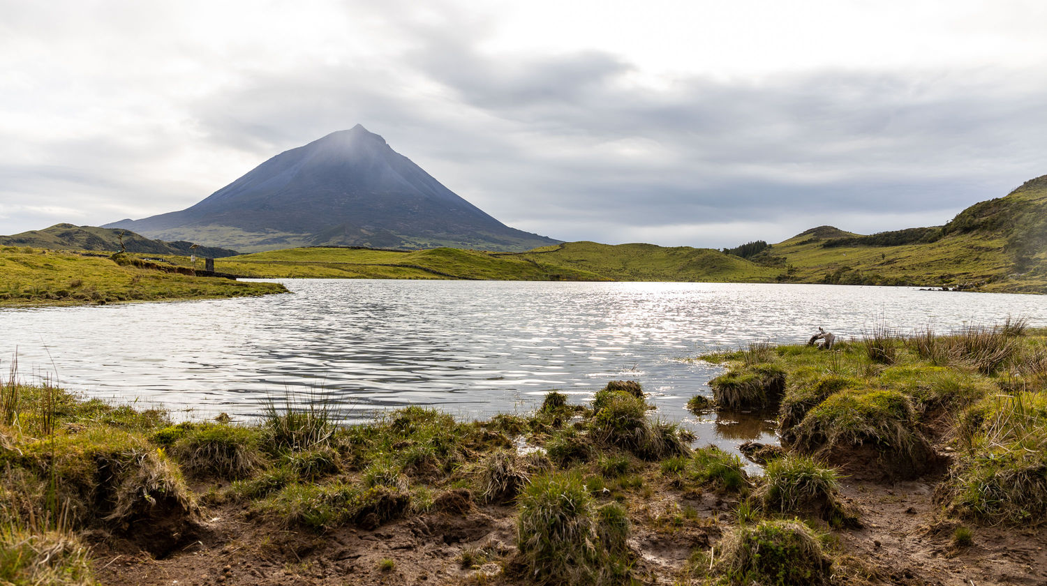 Ilha do Pico