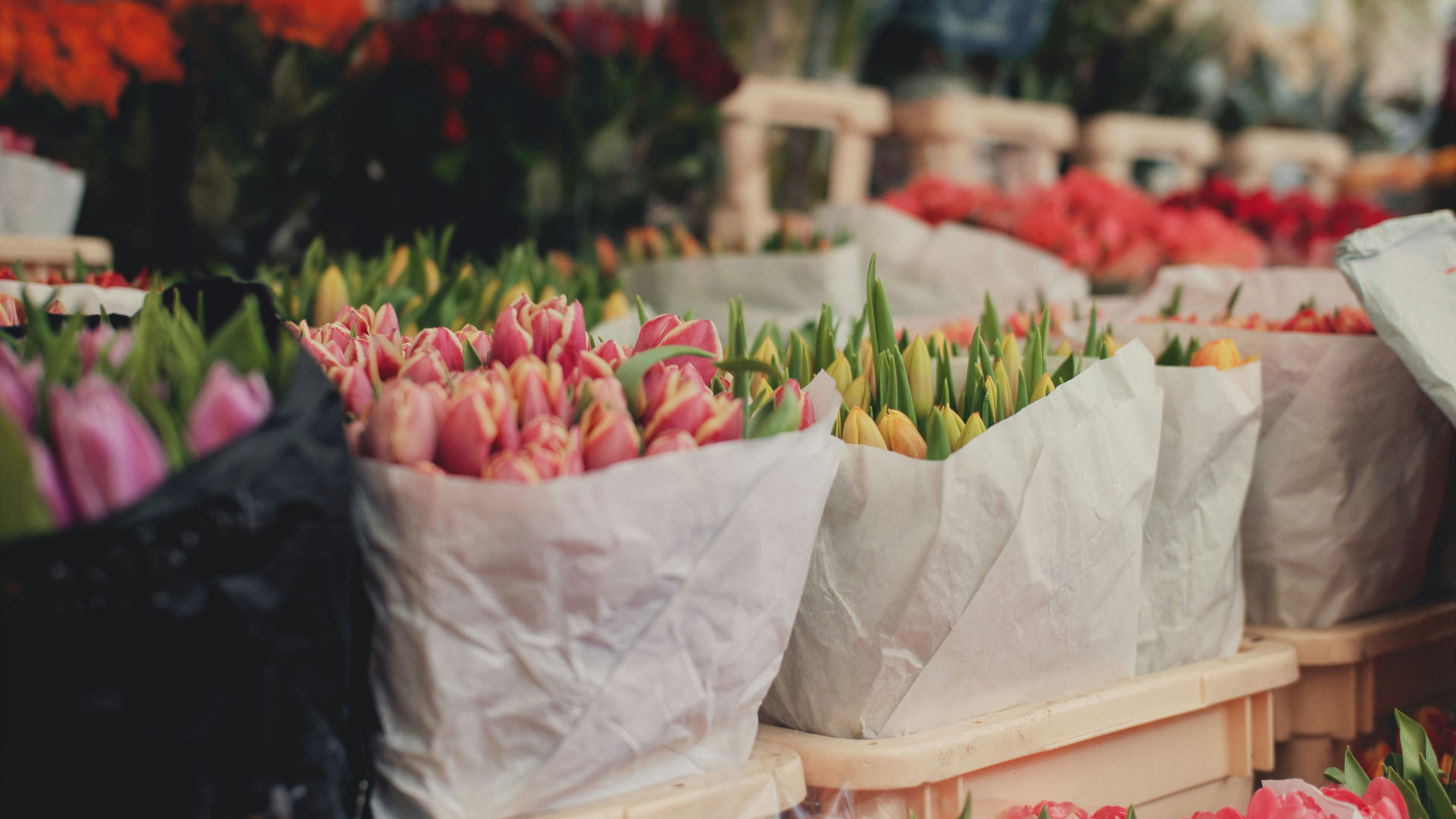 Mercado de Lubliana, Eslovênia