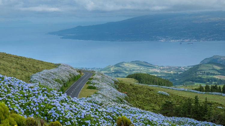 Faial: Carro Incluído