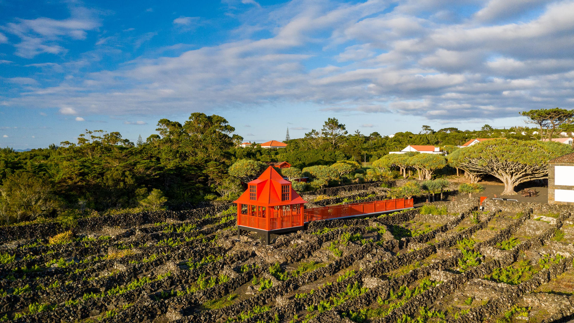 Museu do Vinho, Ilha do Pico