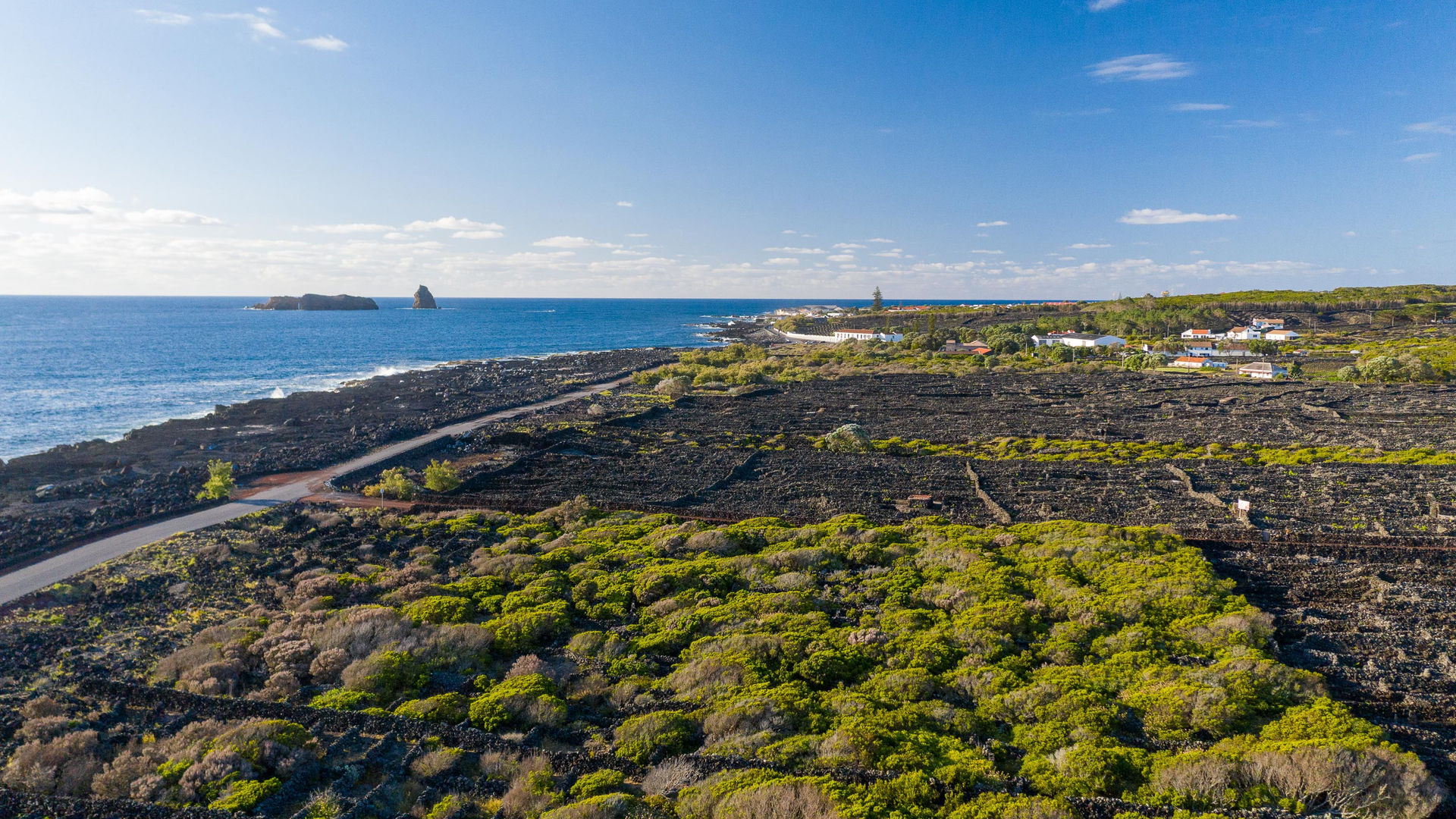 Paisagem Vinícola, Ilha do Pico