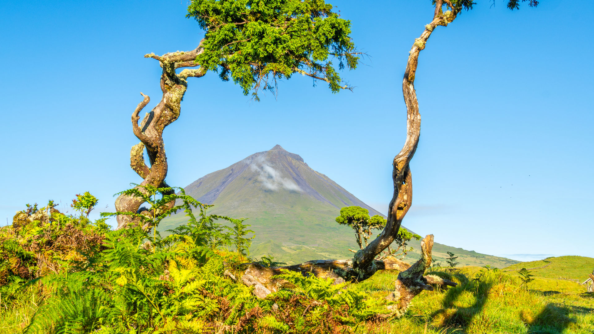 Montanha do Pico, Ilha do Pico