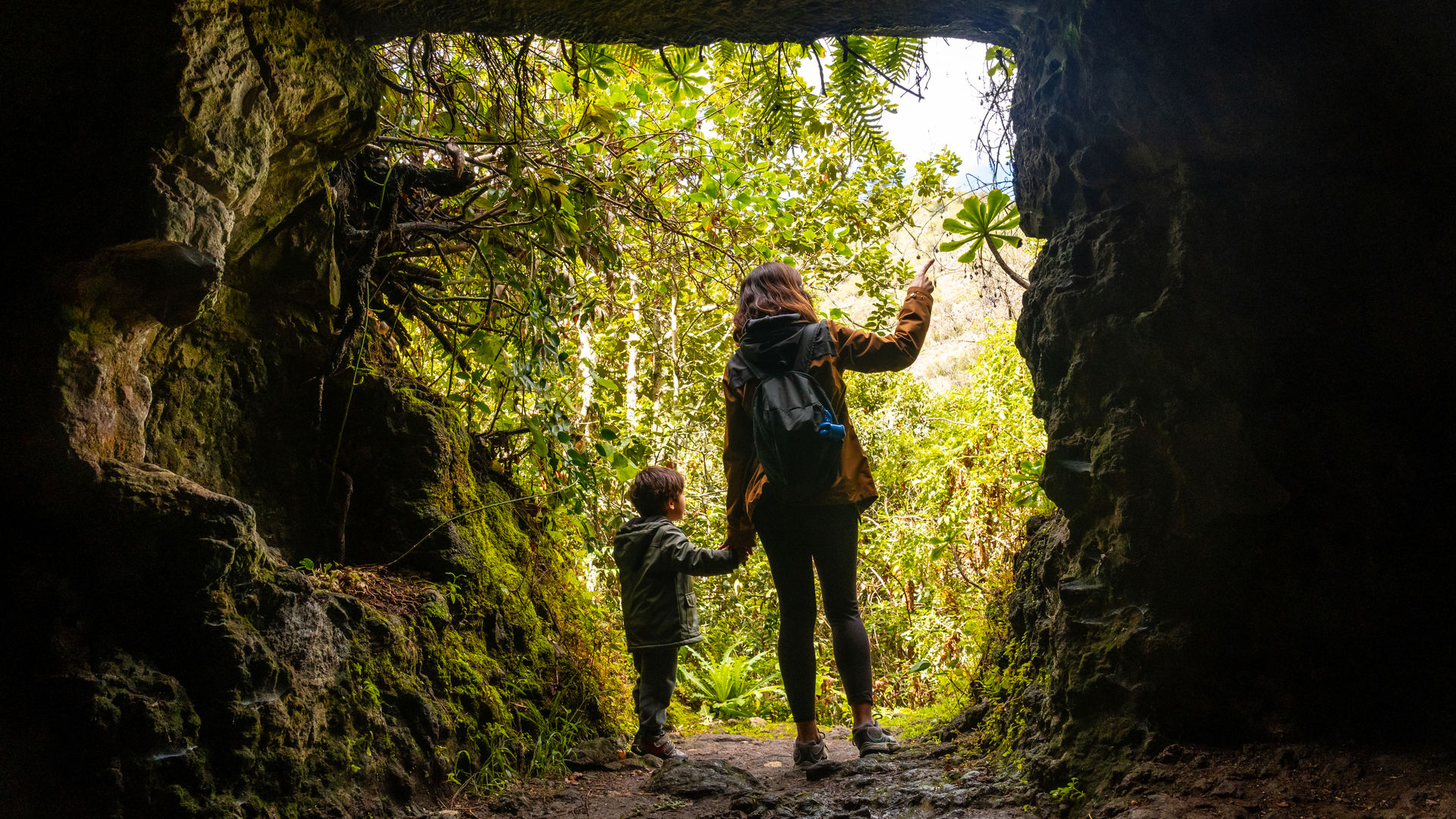 Reserva Natural Especial Los Tilos de Moya