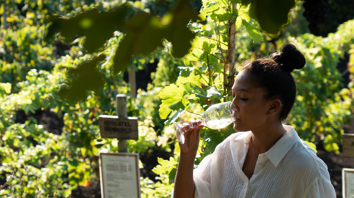 <b>Jantar com uma Família Local (Incluído)</b>