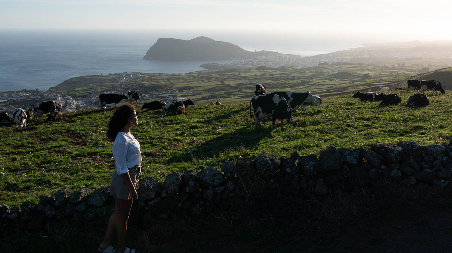 <b>Experiência na Quinta de Lacticínios (Incluído)</b>