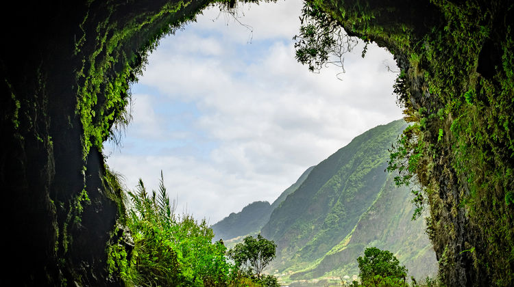 Levadas da Madeira