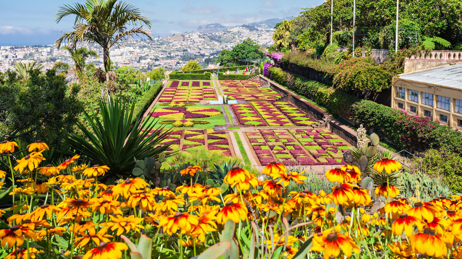 Jardim Botânico da Madeira