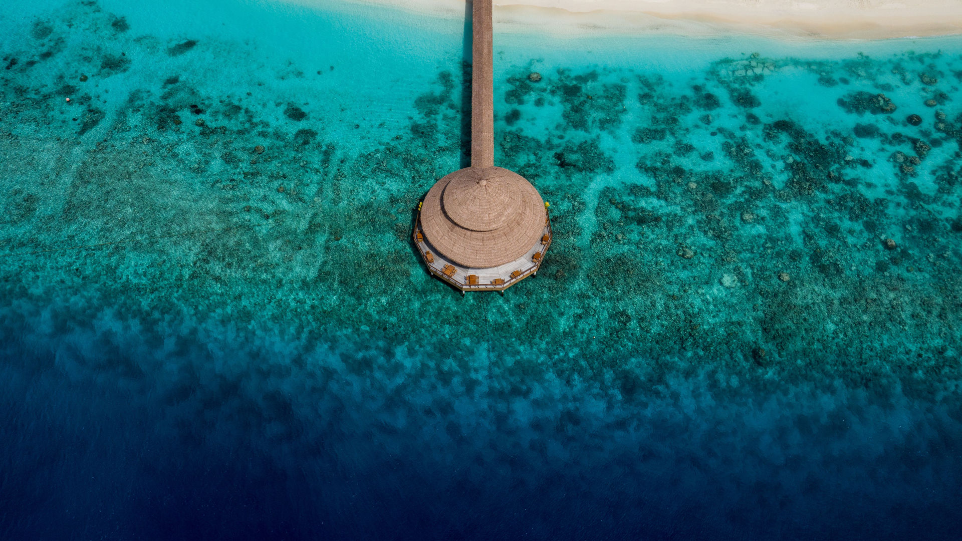 Recife de Coral, Maldivas