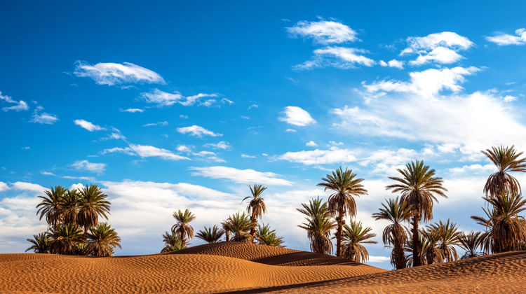 Deserto do Saara