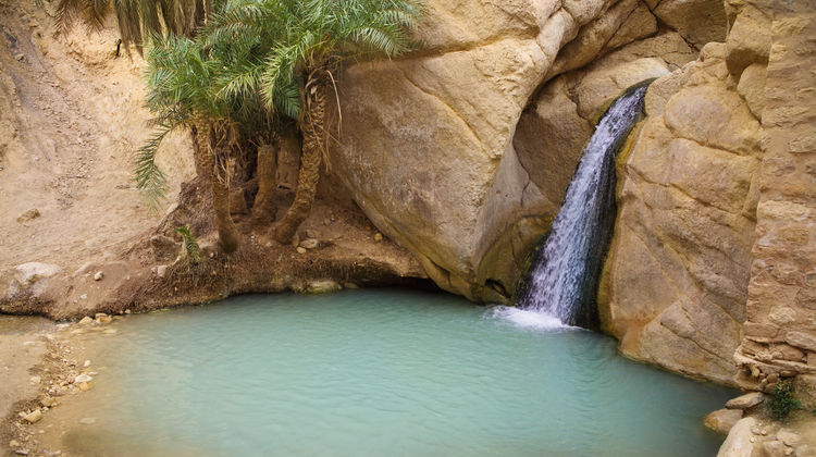Chebika Oasis