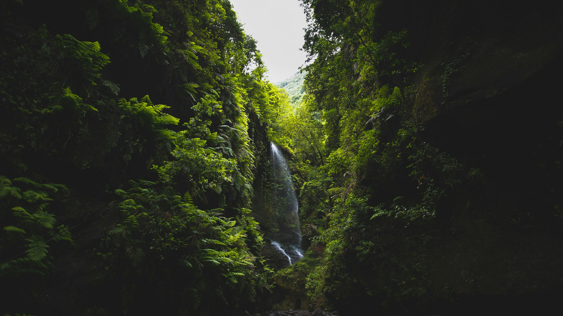 Cascata de Los Tilos, La Palma