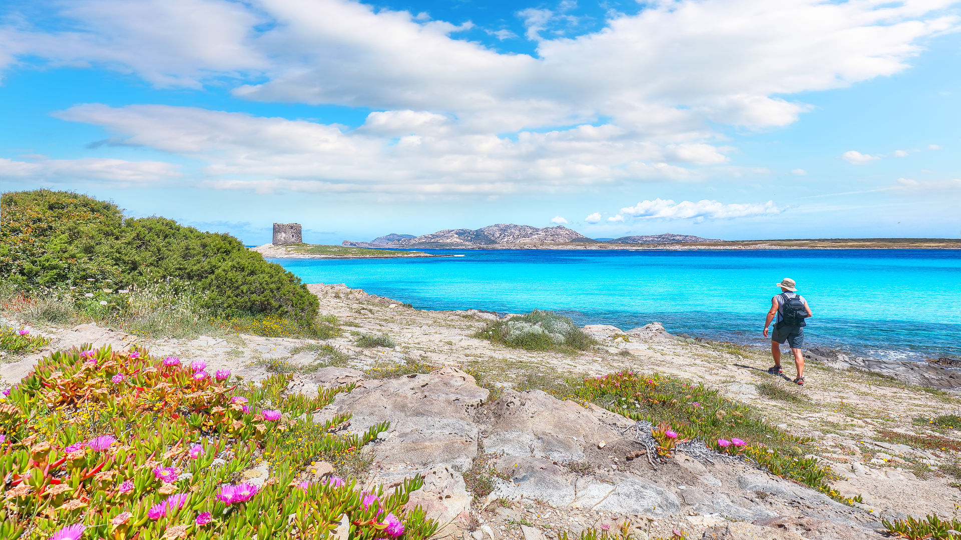 Torre della Pelosa, Sardenha
