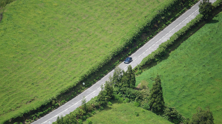 Rua das Hortênsias, Sete Cidades