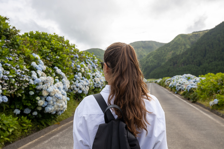 Estrada de Hortênsias, Sete Cidades