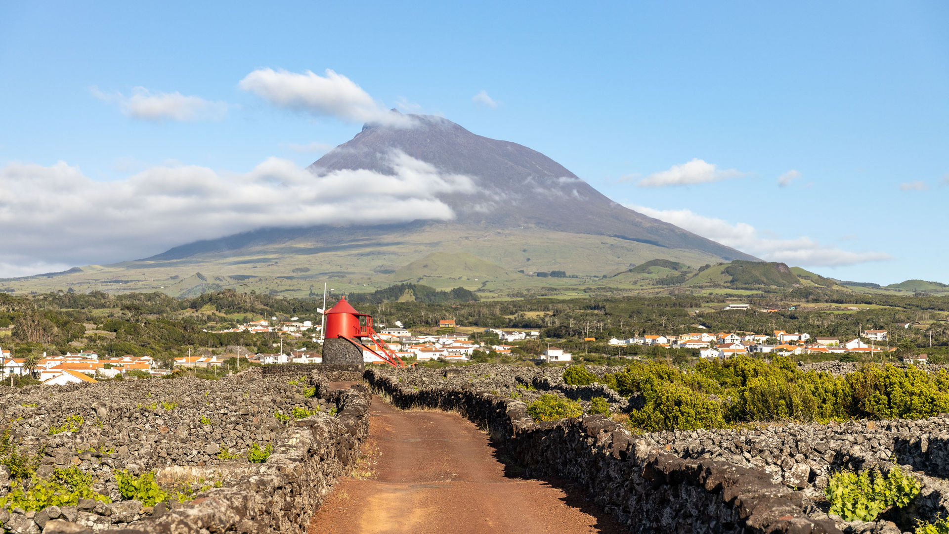 Paisagem da Cultura da Vinha, Ilha do Pico