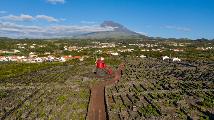 Ilha do Pico Com Carro Ilha do Pico Com Carro