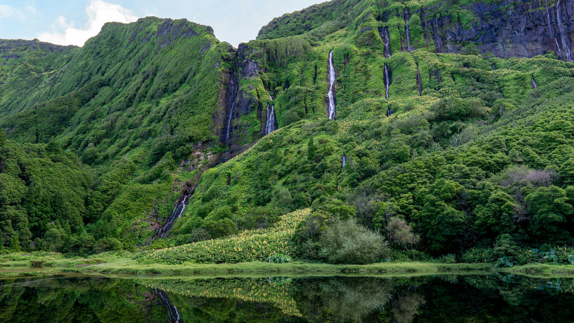 Poço da Ribeira do Ferreiro, Ilha das Flores