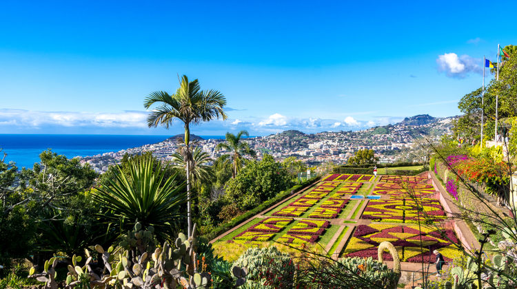 Jardim Botânico da Madeira