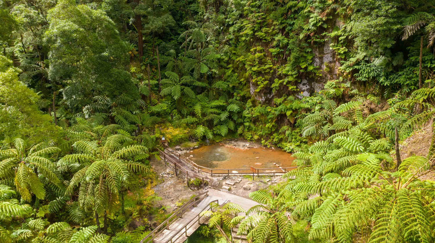 Caldeira Velha, São Miguel