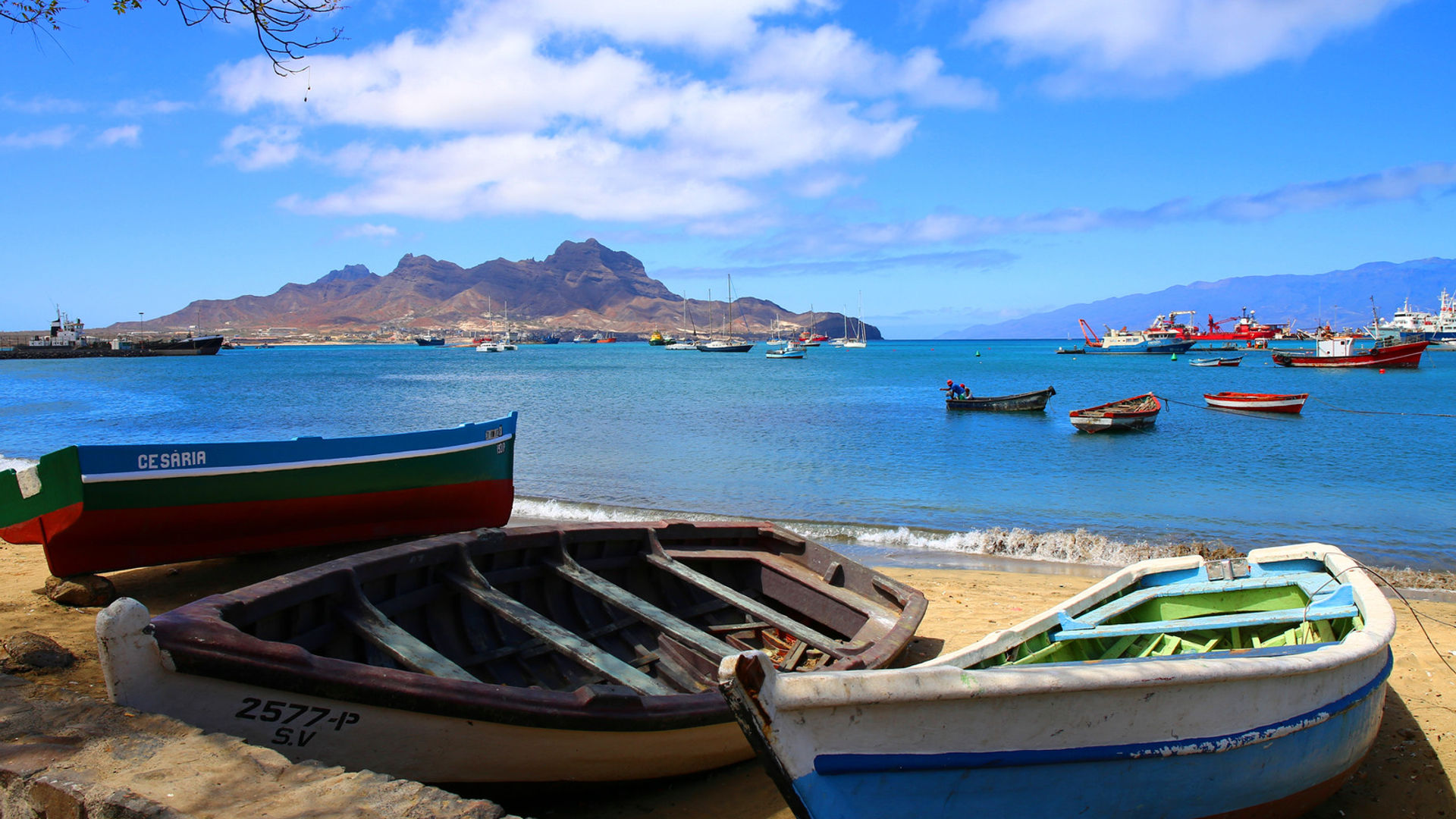 Praia de São Vicente ©Elena Skalovskaia