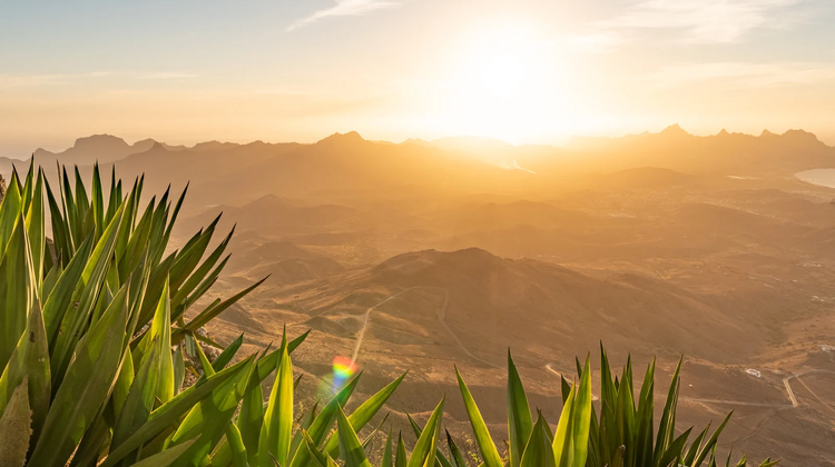 Parque Natural de Monte Verde ©mbrand85