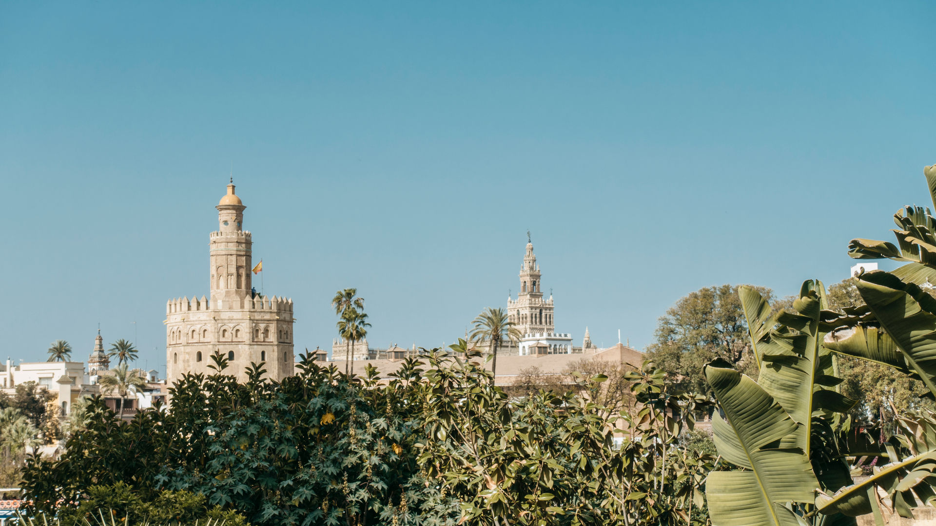 Torre Del Oro