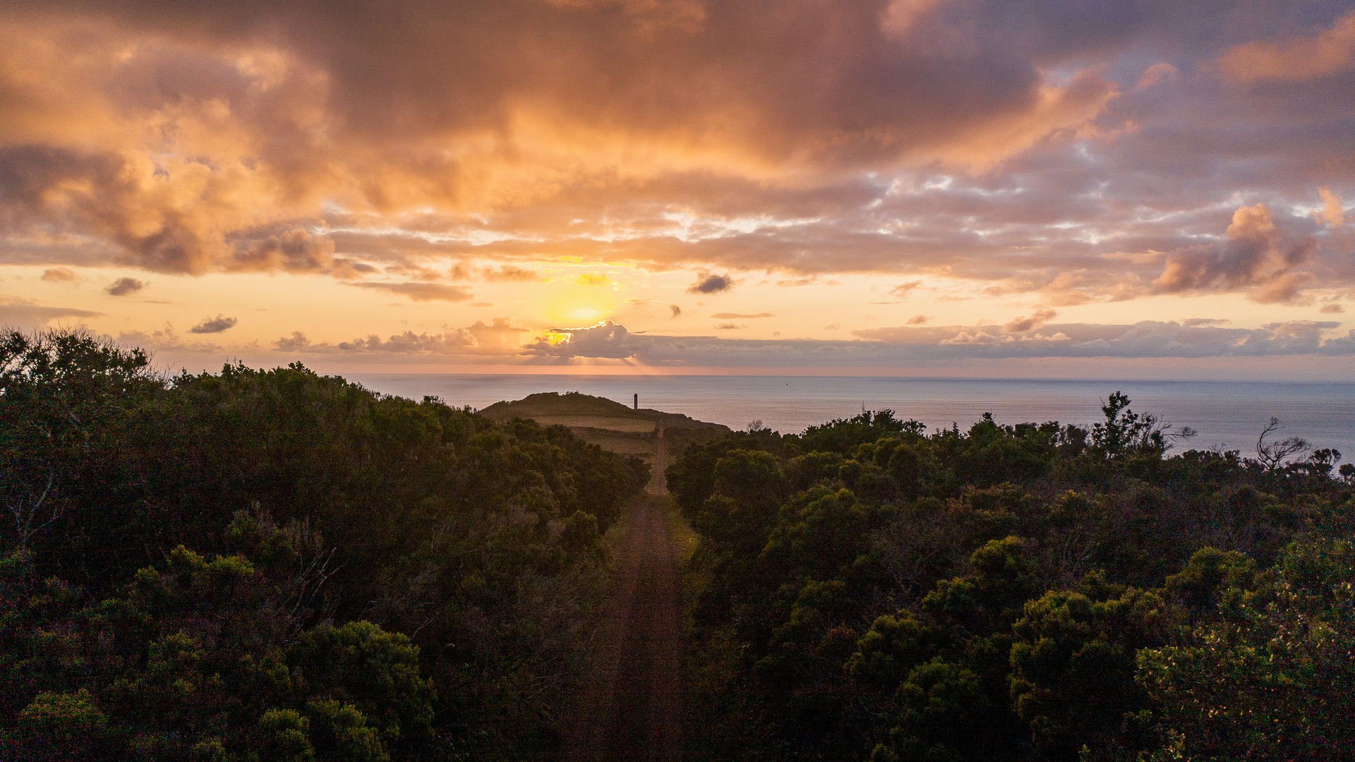 Reserva Natural da Ponta dos Rosais, Ilha de São Jorge