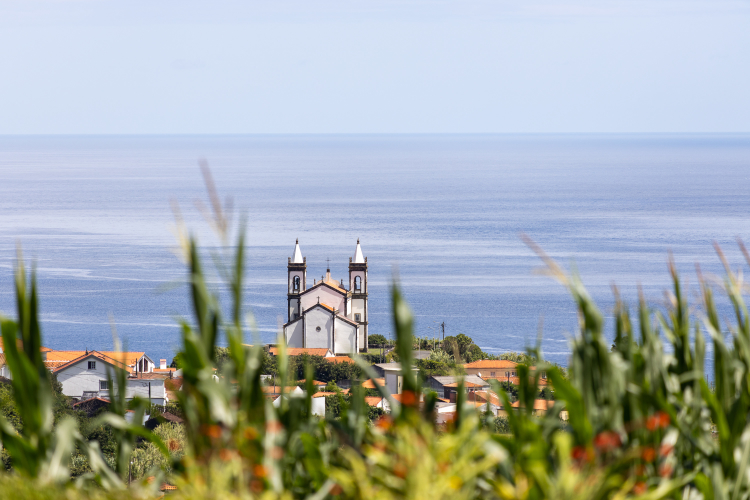 Igreja de Nossa Senhora de Lourdes, Flores