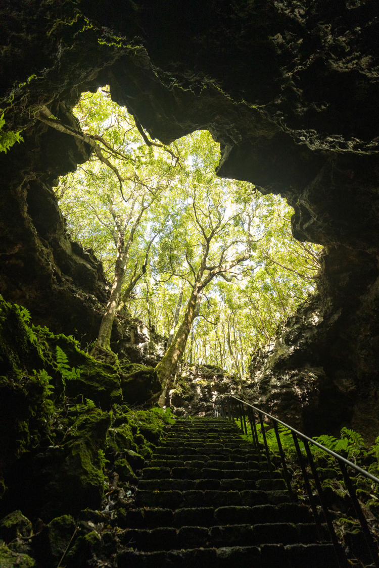 Gruta das Torres, Pico