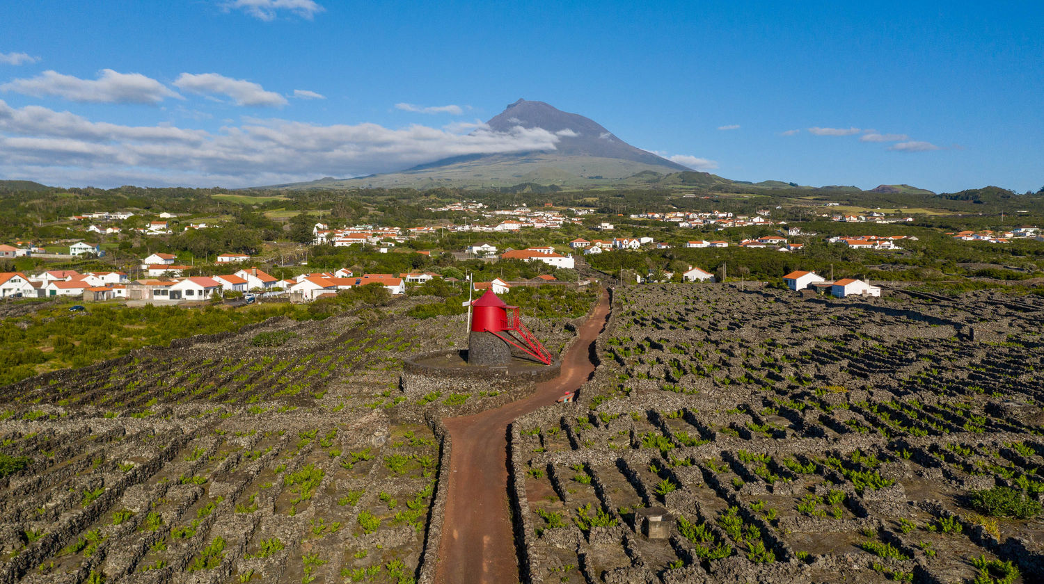 Ilha do Pico