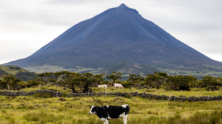 Montanha da Ilha do Pico