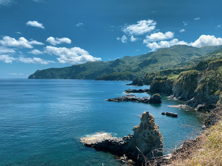 Costa de Ponta Delgada, Flores
