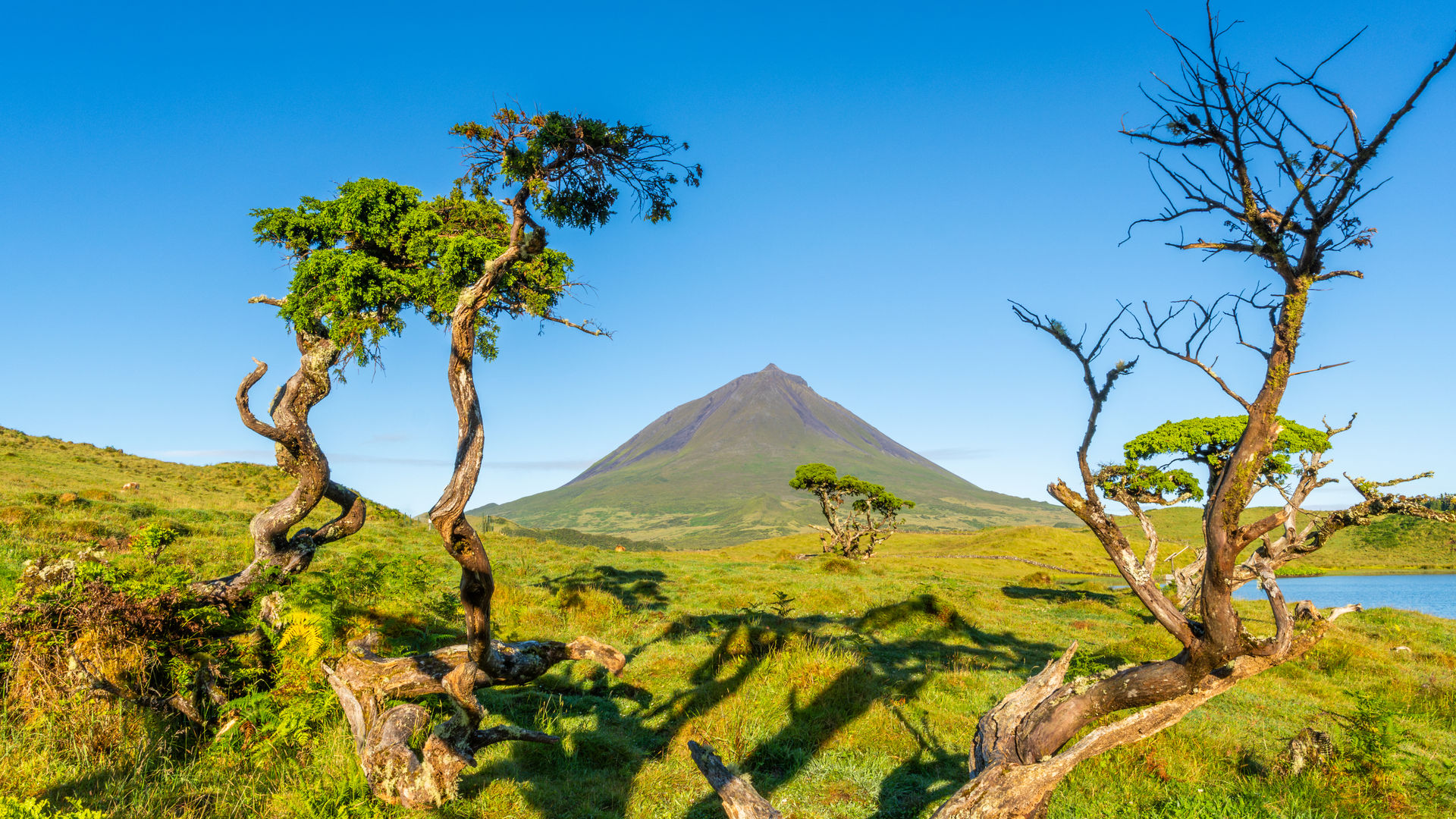 Montanha do Pico, Ilha do Pico