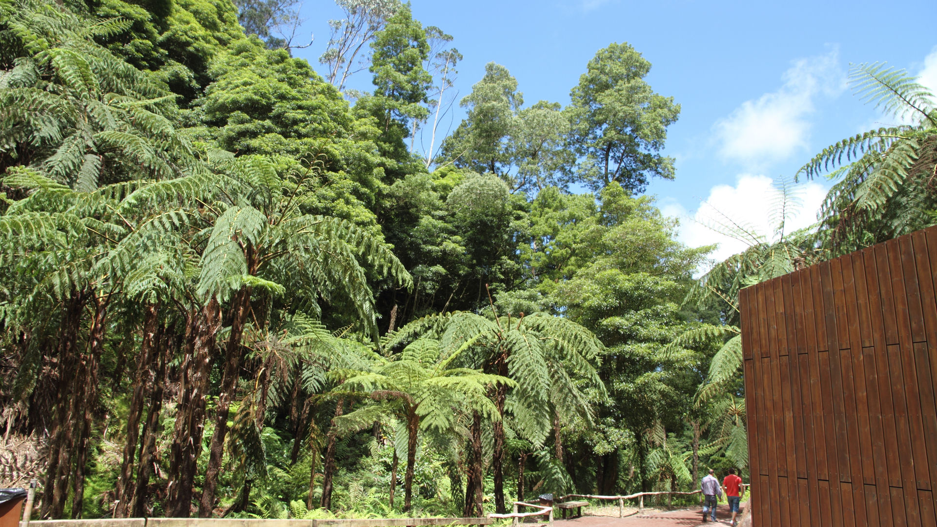 Caldeira Velha, Ilha de São Miguel