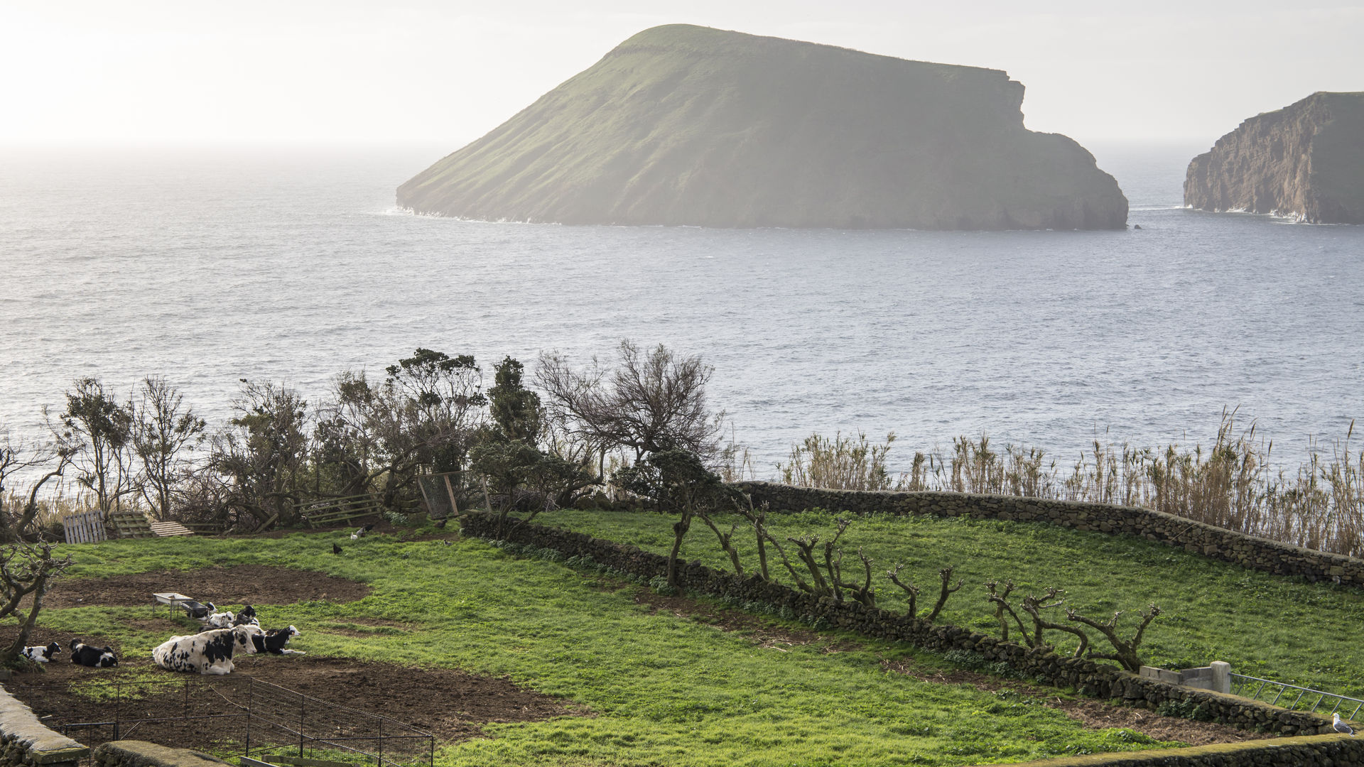 Ilhéus das Cabras, Ilha Terceira