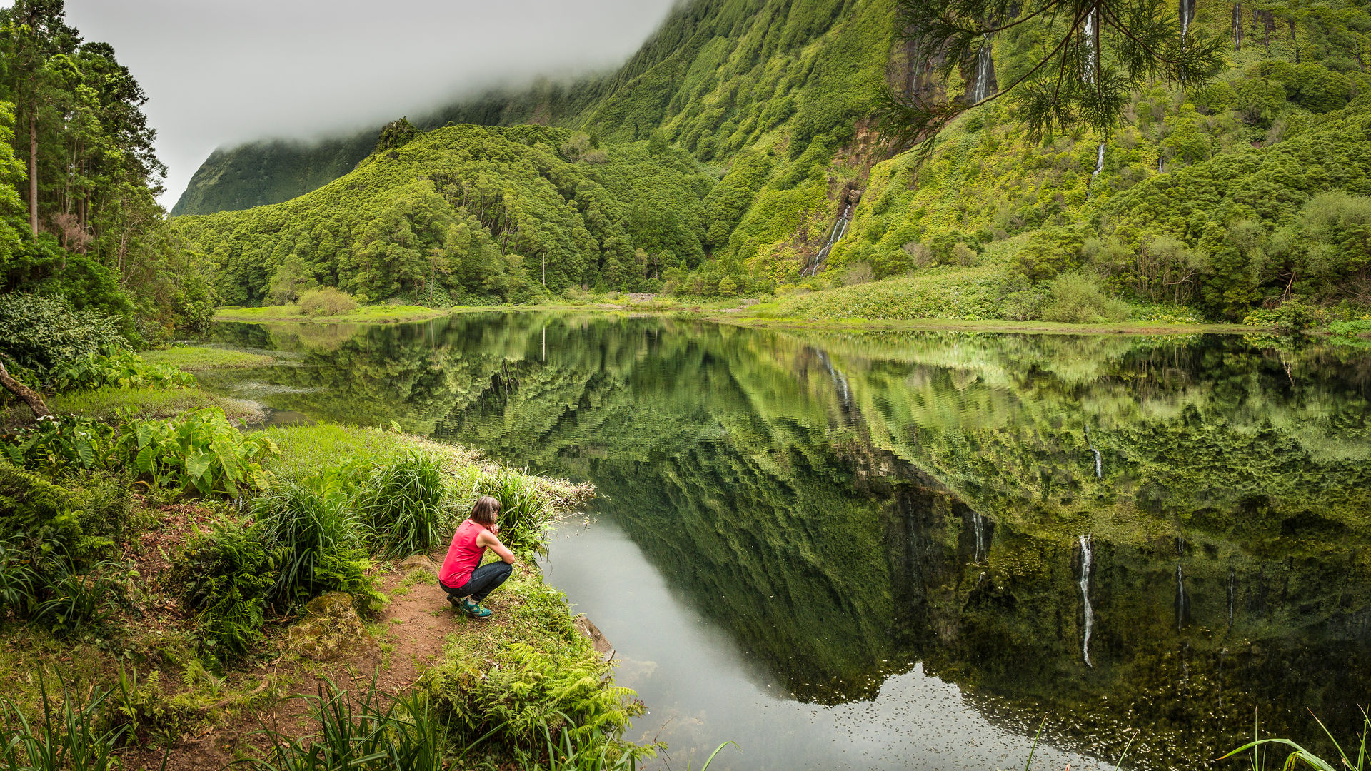 Poça da Ribeira do Ferreiro, Ilha das Flores