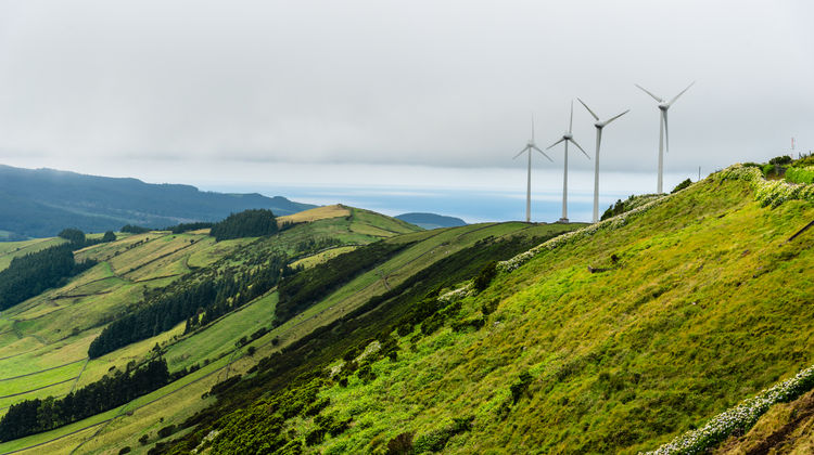 Moinhos de Vento, Ilha Terceira