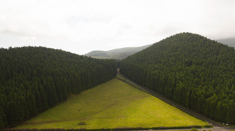 Rocha do Chambre, Ilha Terceira