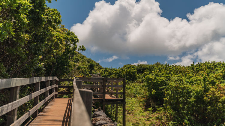 Furnas do Enxofre, Ilha Terceira